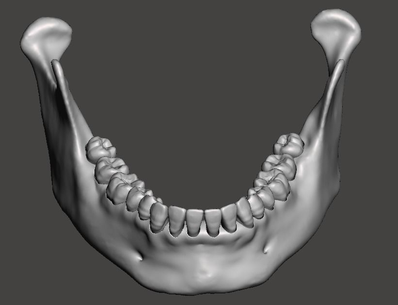 anterior anatomy and the science of a natural smile